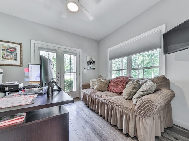 430 Cajun Dr, Ellijay, GA 30540 - office space with plenty of natural light, french doors, light wood-style floors, and a ceiling fan