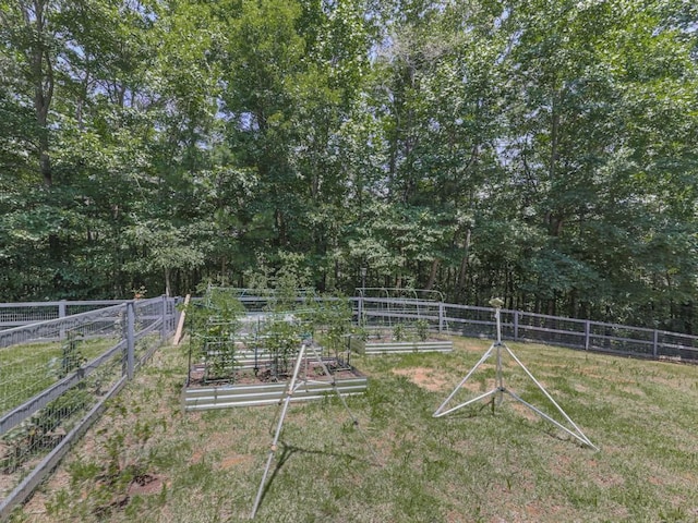430 Cajun Dr, Ellijay, GA 30540 - view of yard with a vegetable garden