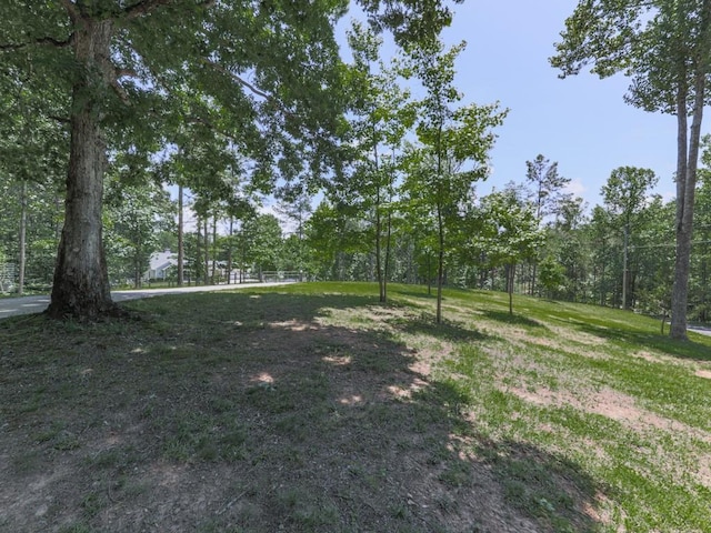 430 Cajun Dr, Ellijay, GA 30540 - view of yard