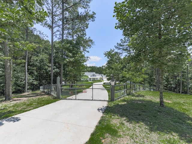 430 Cajun Dr, Ellijay, GA 30540 - view of gate