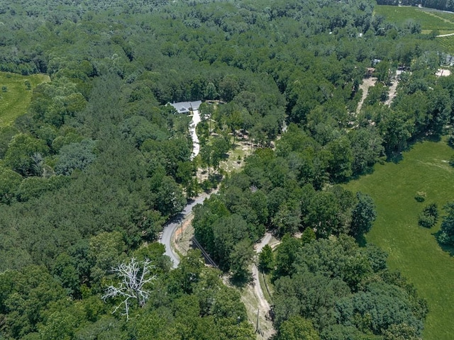 430 Cajun Dr, Ellijay, GA 30540 - view of property location featuring a forest