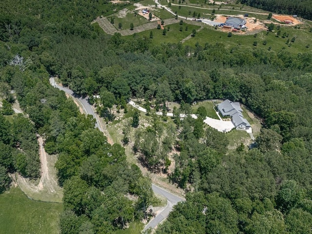 430 Cajun Dr, Ellijay, GA 30540 - aerial view of property's location with a forest