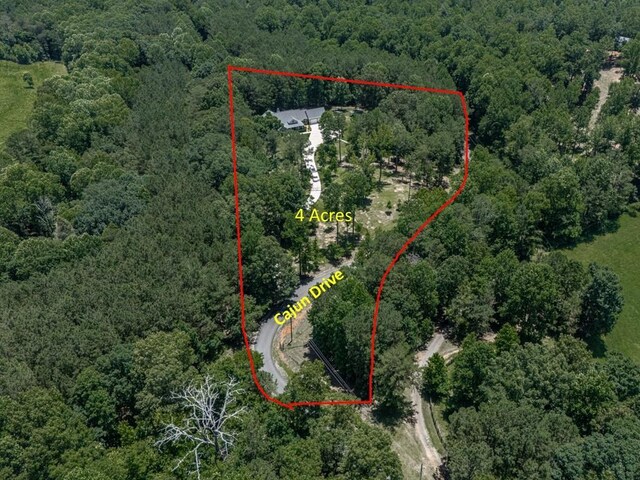 430 Cajun Dr, Ellijay, GA 30540 - view of property location featuring a heavily wooded area and property parcel outlined