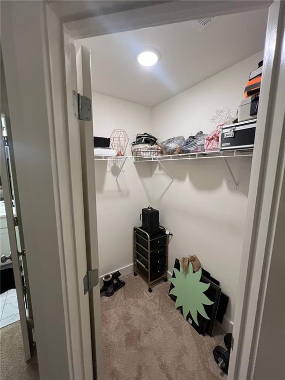 spacious closet with carpet floors