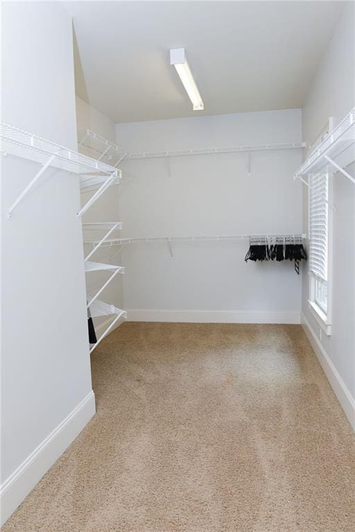 walk in closet featuring light carpet