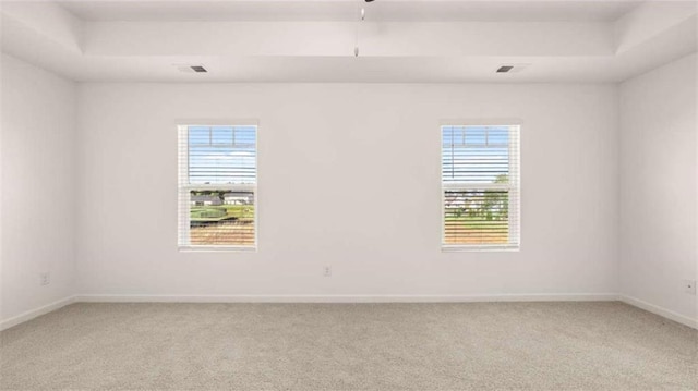 unfurnished room with a healthy amount of sunlight, a raised ceiling, and light colored carpet