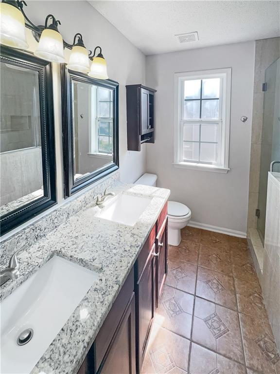 bathroom with vanity, toilet, a wealth of natural light, and a shower with shower door