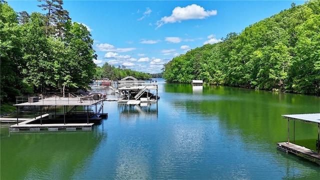 8625 Anchor On Lanier Ct, Gainesville, GA 30506 - dock with a water view