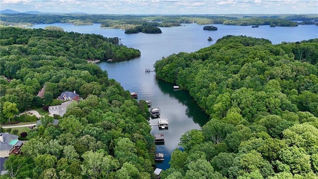 8625 Anchor On Lanier Ct, Gainesville, GA 30506 - bird's eye view of a nearby body of water and a forest