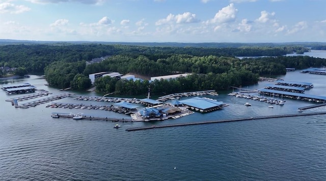 8625 Anchor On Lanier Ct, Gainesville, GA 30506 - bird's eye view of a marina and a nearby body of water