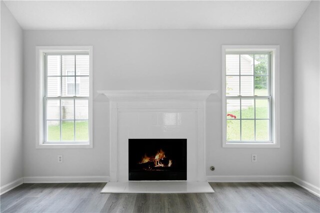 1031 Abercorn Way, Douglasville, GA 30134 - room details with baseboards, wood finished floors, and a fireplace with flush hearth