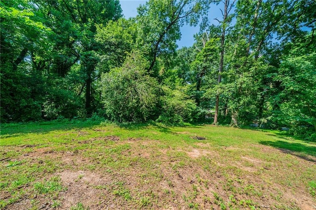 3904 W Hilda Cir, Decatur, GA 30035 - view of green lawn