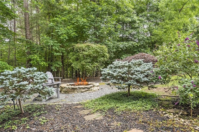 1546 Heritage Pass, Milton, GA 30004 - view of yard featuring a fire pit