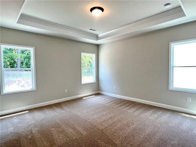 spare room with carpet, a raised ceiling, and plenty of natural light