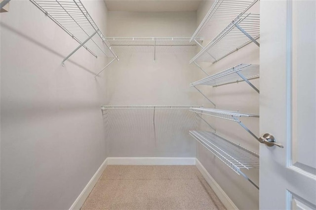 2304 Village Blvd, Rome, GA 30161 - spacious closet with carpet