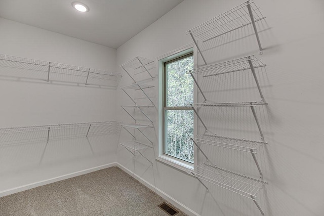 walk in closet featuring carpet floors and visible vents