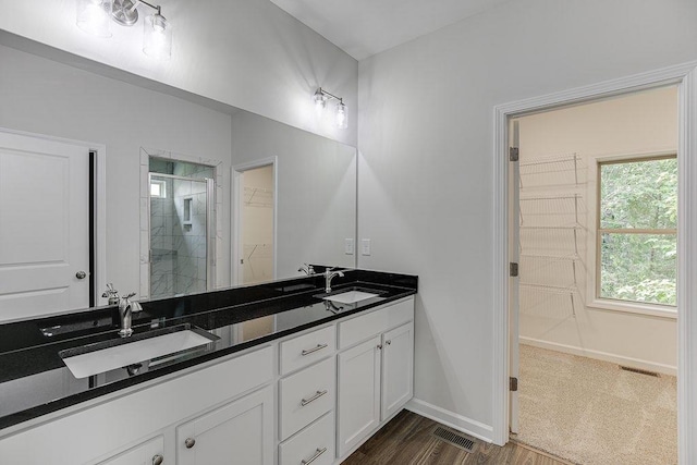 full bathroom featuring a shower stall, visible vents, a walk in closet, and a sink