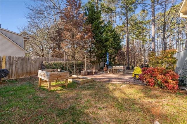 view of yard with a patio