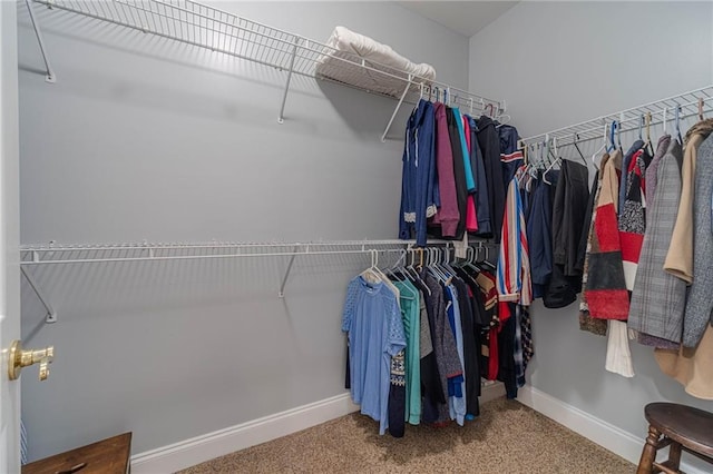 walk in closet featuring carpet