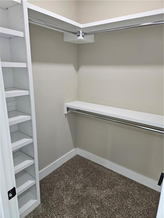 spacious closet with dark colored carpet