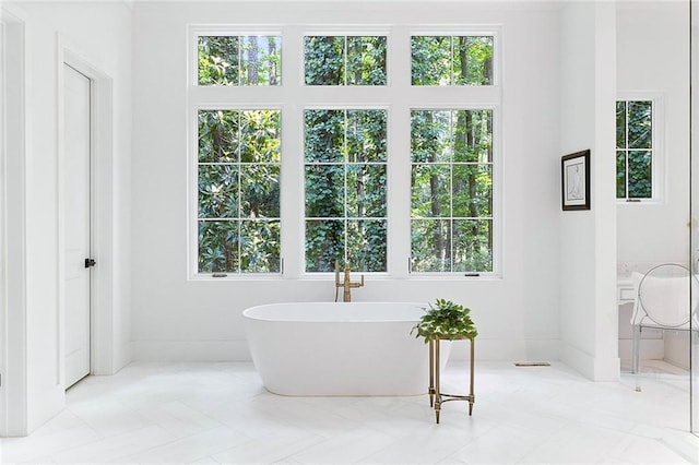 bathroom with a bathtub and a healthy amount of sunlight