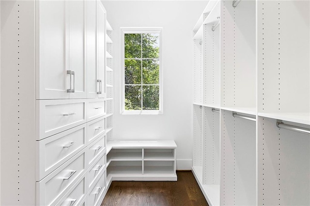 spacious closet with dark hardwood / wood-style flooring