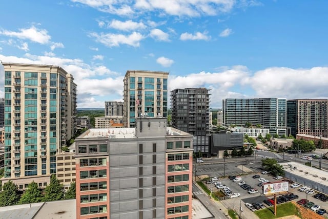 325 E Paces Ferry Rd NE Unit 1910, Atlanta, GA 30305 - view of city