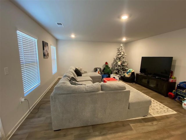 living room featuring wood-type flooring