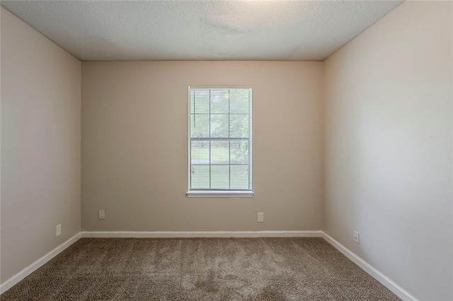 6200 Beaver Creek Trl, Atlanta, GA 30349 - carpeted spare room featuring baseboards and a textured ceiling