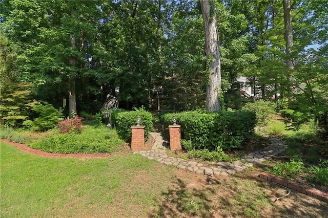 4046 Water Hole Ct, Douglasville, GA 30135 - view of green lawn