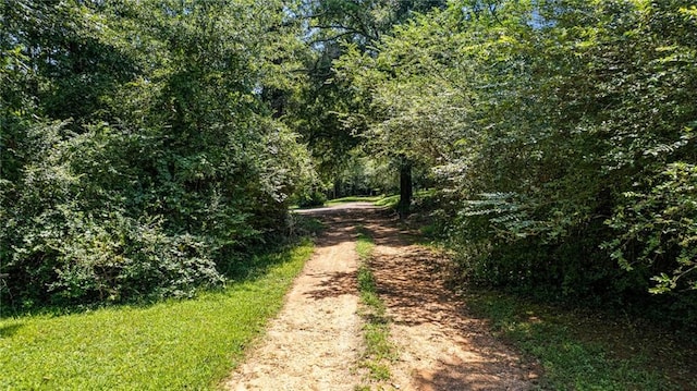 2146 Danielsville Rd, Athens GA, 30601 land for sale