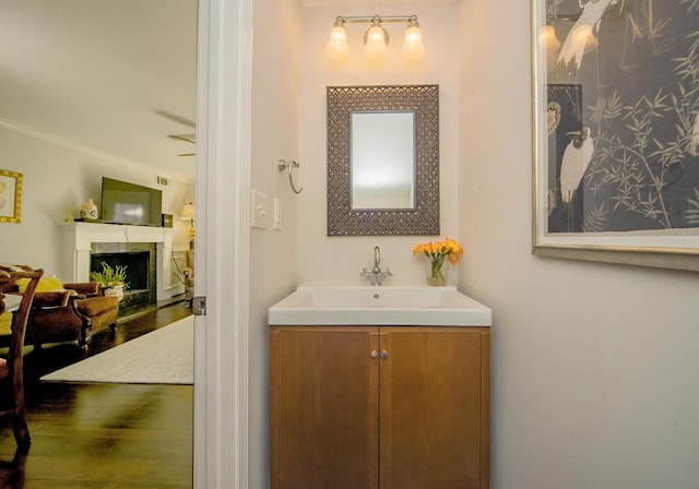 1261 Lavista Rd Unit N4, Atlanta, GA 30324 - bathroom featuring a fireplace, vanity, and crown molding