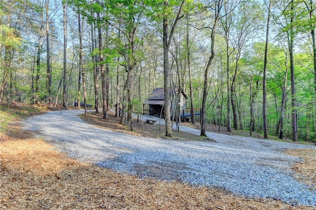 176 Petunia Dr, Dahlonega, GA 30533 - view of dirt / gravel road featuring a view of trees