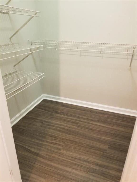 walk in closet featuring dark wood-style flooring