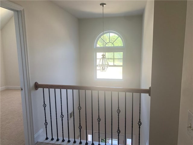 stairway featuring carpet