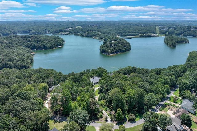 bird's eye view with a forest view and a water view
