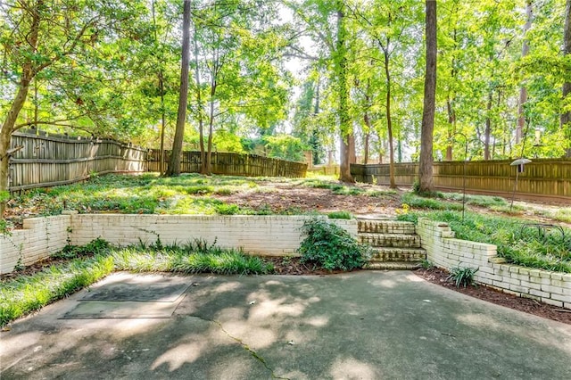 view of yard featuring a patio area