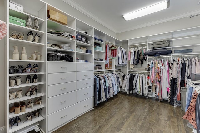 walk in closet featuring wood finished floors