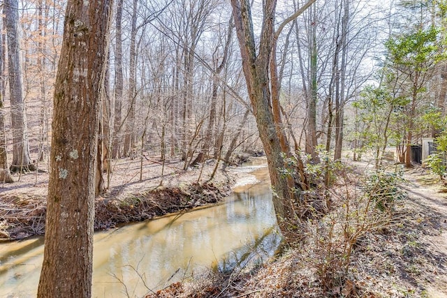 water view with a forest view