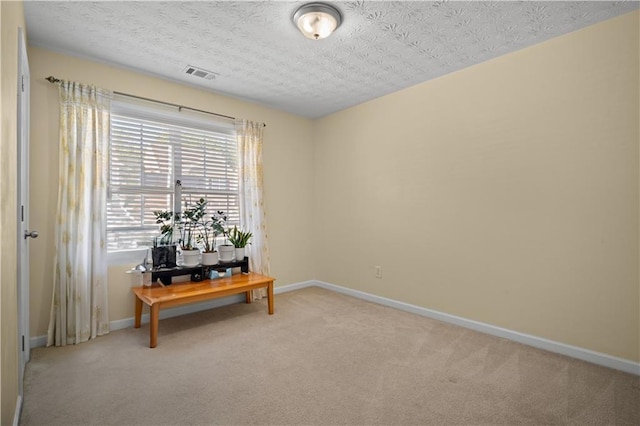 interior space featuring a textured ceiling and light colored carpet