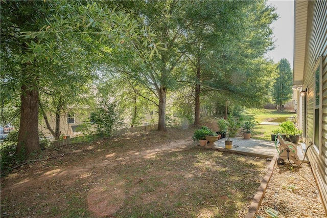 view of yard with a patio