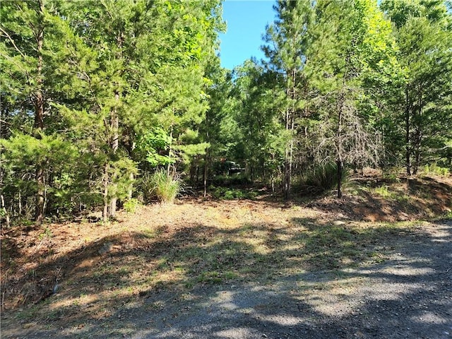 Listing photo 3 for 352 Sweet Haven Ln, Ranger GA 30734