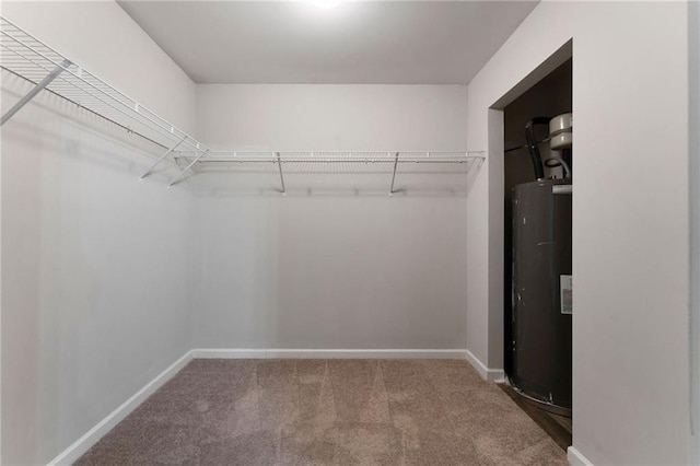 222 Parkland Way, Chatsworth, GA 30705 - walk in closet with water heater and carpet