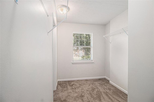 3440 Oaktree Way, Stonecrest, GA 30038 - walk in closet with carpet floors