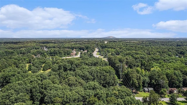 3440 Oaktree Way, Stonecrest, GA 30038 - drone / aerial view of a forest