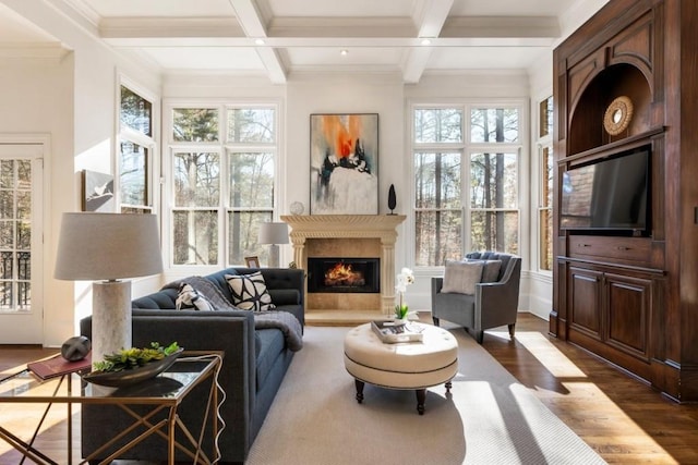 2250 Blackheath Trce, Alpharetta, GA 30005 - living area with wood finished floors, beamed ceiling, healthy amount of natural light, a premium fireplace, and coffered ceiling