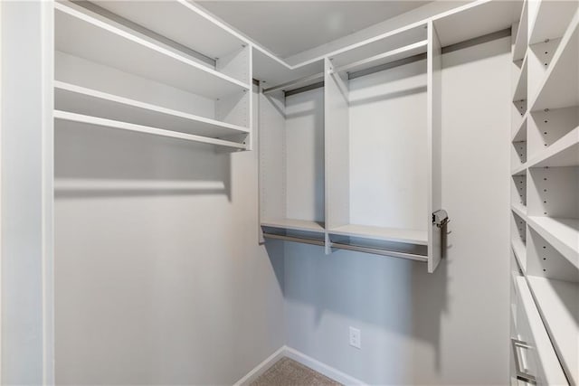 view of walk in closet