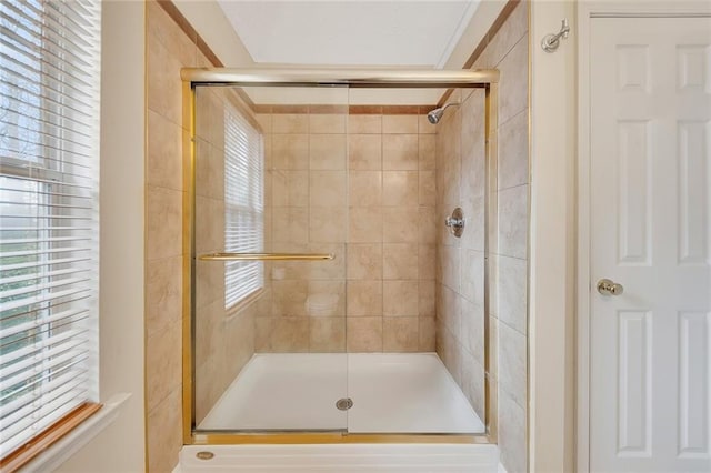 bathroom with a shower with shower door and a healthy amount of sunlight