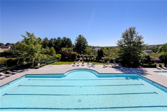 view of swimming pool featuring a patio area