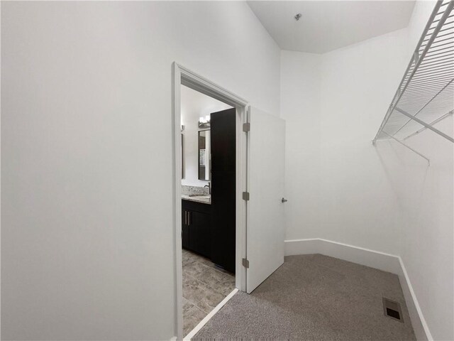 spacious closet with sink and light carpet